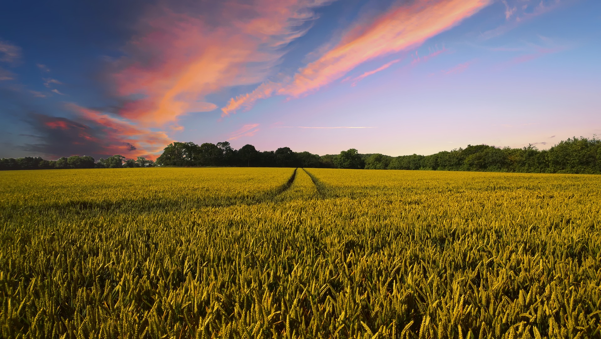 You are currently viewing Grupul de Acțiune Locală Banatul de Nord lansează apelul de selecție pentru Măsura M3/6A „Dezvoltarea activitățiilor non-agricole în teritoriul Banatul de Nord”